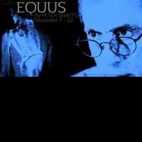 Gallery Players Open EQUUS Tonight