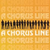 Jessica Lee Goldyn, James Ludwig, Kelly Sheehan and More Set for A CHORUS LINE at…