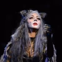 Andrew Lloyd Webber's CATS, Starring Nicole Scherzinger, Opens Tonight in the West…