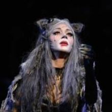 Andrew Lloyd Webber's CATS, Starring Nicole Scherzinger, Opens Tonight in the West…