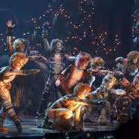 Photo Flash: CATS Celebrates Opening at La Mirada Theatre