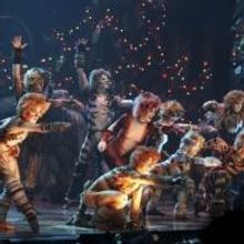 Photo Flash: CATS Celebrates Opening at La Mirada Theatre