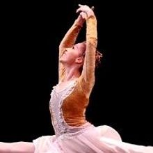 2012 South African Theatre Retrospective: Dance and Physical Theatre