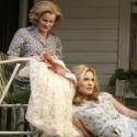 Photo Flash: First Look at PICNIC in Performance - Sebastian Stan, Maggie Grace and More!