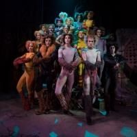 Summer Stages: Toronto's Summer Theatre Offerings