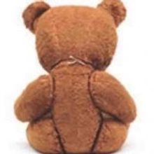 BEAR World Premiere Set for Old Red Lion Theatre, 28 Jan - 22 Feb