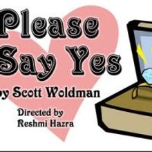 Redtwist Theatre Presents PLEASE SAY YES, Now thru 11/16