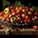 Robert Mann Gallery Represents Paulette Tavormina; First Exhibition Opens Jan 17