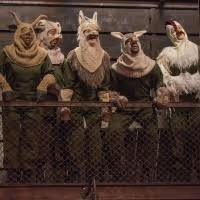 Photo Flash: First Look at Steppenwolf for Young Adults' ANIMAL FARM