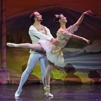 BWW Reviews: The NUTCRACKER by ARB in NJ through 12/21, A Holiday Tradition