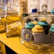 DCPA Hosts 2015 Wedding Showcase & Fashion Event Today