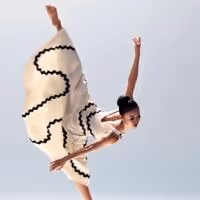 The Joyce Theater Announces Spring/Summer 2015 Season