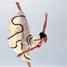 The Joyce Theater Announces Spring/Summer 2015 Season