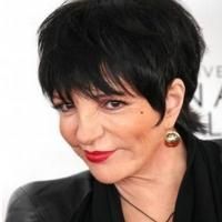 Liza Minnelli, Alan Cumming, Carol Channing & More Set for 2014 Broadway Series in…