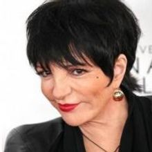 Liza Minnelli, Alan Cumming, Carol Channing & More Set for 2014 Broadway Series in Pr