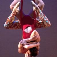 Luminario Ballet to Debut BRACE...YOURSELF at El Portal Theatre, 5/31-6/2