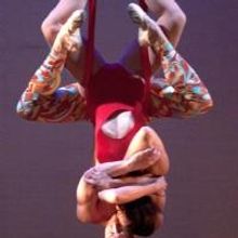 Luminario Ballet Debuts BRACE...YOURSELF at El Portal Theatre, Now thru 6/2