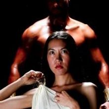Hawaii Shakes Announces 2013 Season: AS YOU LIKE IT, TIMON OF ATHENS, & TROILUS AND C