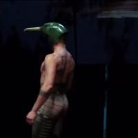 STAGE TUBE: Sneak Peek - BIRDS WITH SKYMIRRORS Plays Tonight at BAM Video