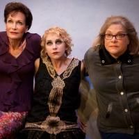 BWW Interview: Playwright Cyndi Williams on Austin Playhouse's World Premiere of…