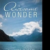 IN AWESOME WONDER Joins CLA Book Exhibit, 11/3-5