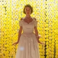 Photo Flash: First Look at DEBUTANTE. World Premiere at the Bernie Wohl Center