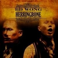 Yellow Sound Label Releases BD Wong's HERRINGBONE Today