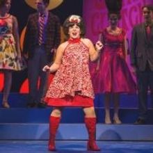 Photo Flash: First Look at Arizona Broadway Theatre's HAIRSPRAY