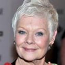 Judi Dench, Danny Boyle, Nicholas Hytner and More Honored at 2012 Evening Standard…