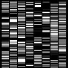 Times Square Arts to Present Ryoji Ikeda's TEST PATTERN This Month