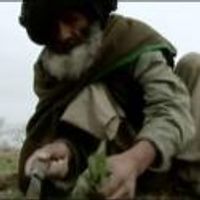 VIDEO: Trailer - Morgan Freeman Narrates Documentary BREAKING THE TABOO, Online… Video
