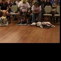 National Museum of the Pacific War's War Dog Program Sheds Light on Four Legged…