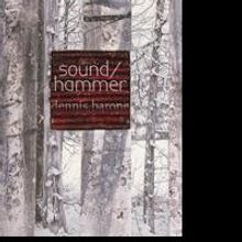 Quale Press Publishes SOUND/HAMMER by Dennis Barone