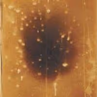 Skarstedt to Open a Chelsea Gallery, March 7, 2014