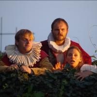 BWW Reviews: TWELFTH NIGHT, The Castle, Harrow and The Rose, Bankside