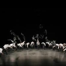 BWW Reviews: Alvin Ailey American Dance Theater Thrills at City Center
