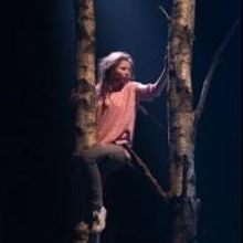 John Tiffany-Helmed LET THE RIGHT ONE IN Makes American Debut at St. Ann's Warehouse…