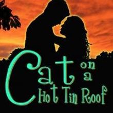 Stage Door Inc. to Present CAT ON A HOT TIN ROOF, Begin. 8/9