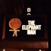 Up On the Marquee Flashback: THE ELEPHANT MAN
