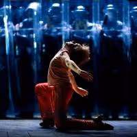 Liam Mower to Make Special Appearance in BILLY ELLIOT for Live Stream Broadcast…
