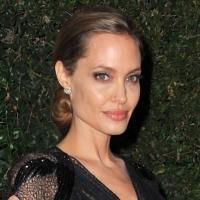 Fashion Photo of the Day 11/18/13 - Angelina Jolie
