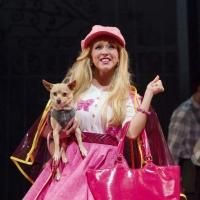 Photo Flash: First Look at Libby Servais, Christopher Carl and More in LEGALLY…