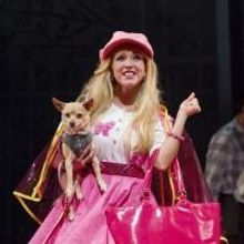Photo Flash: First Look at Libby Servais, Christopher Carl and More in LEGALLY BLONDE