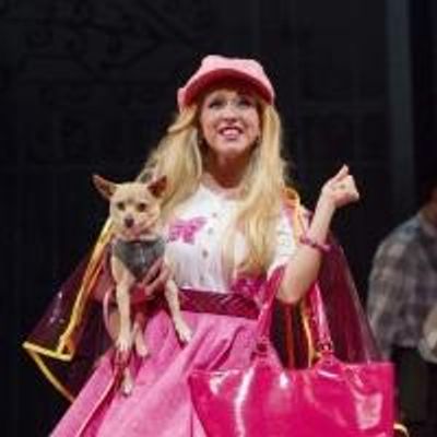 Photo Flash: First Look at Libby Servais, Christopher Carl and More in LEGALLY BLONDE at Merry-Go-Round Playhouse