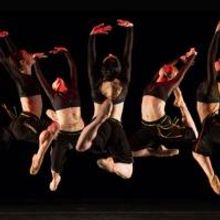 Company C Contemporary Ballet Winter Program Opens Today