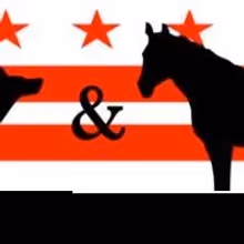 Ivania Stack Named Ring Leader of dog & pony dc; Theatre Expands Staff and Local…