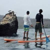 Stand Up Paddleboarding Comes to Galapagos
