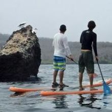 Stand Up Paddleboarding Comes to Galapagos