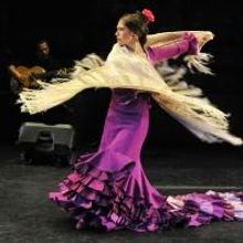 BWW Reviews: A Palo Seco - A Fiery Glimpse into the Flamenco Soul