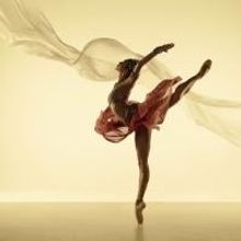 Stanton Welch's La Bayadère Makes Australian Debut Tonight